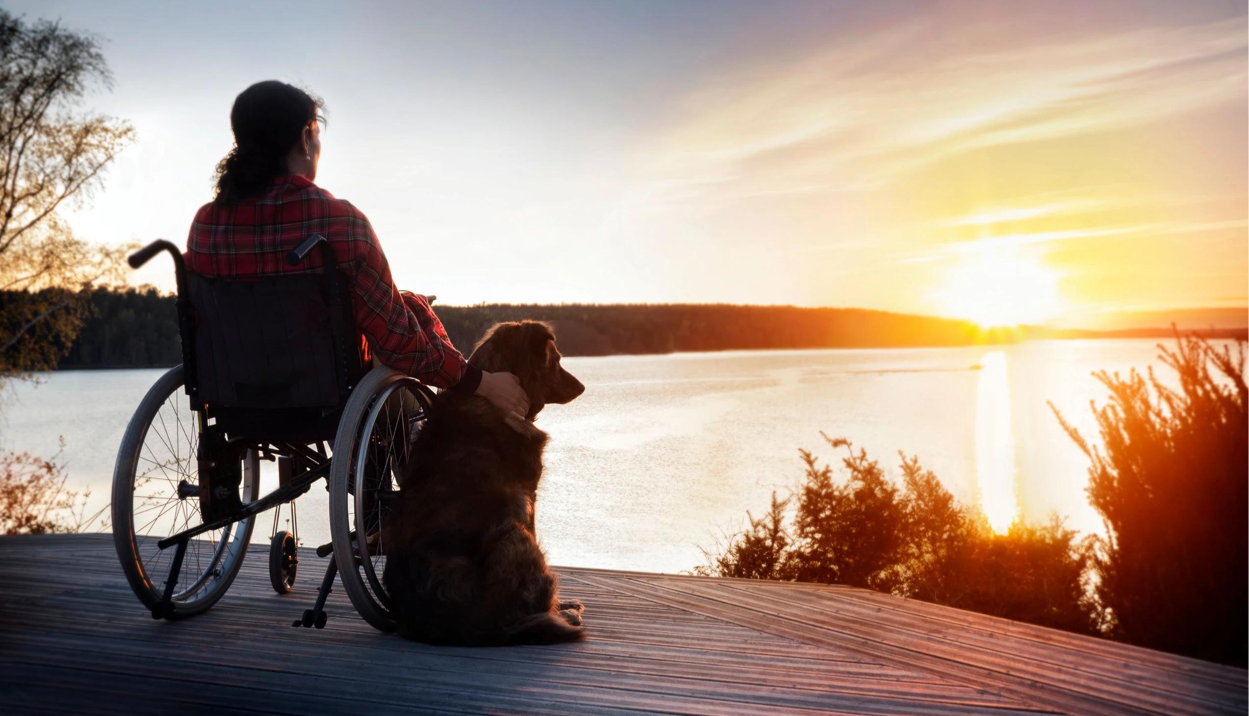 Kvinna i rullstol blickar ut över solnedgången med hund.